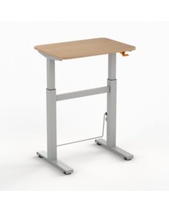 Elementary desk - leerlingtafel